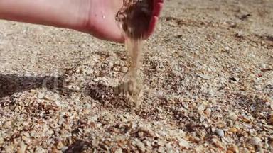 一个人的手拿贝壳，沙滩上的沙子